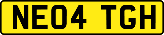 NE04TGH