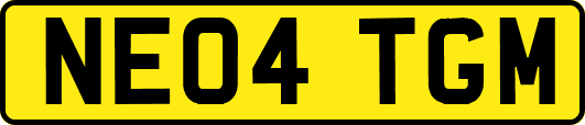 NE04TGM
