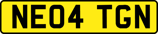 NE04TGN
