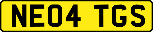 NE04TGS