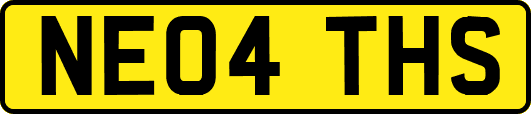 NE04THS