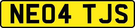 NE04TJS