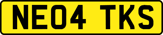 NE04TKS
