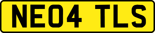 NE04TLS