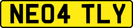 NE04TLY