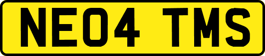 NE04TMS