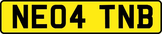 NE04TNB