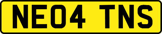 NE04TNS