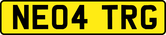 NE04TRG
