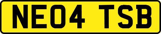 NE04TSB