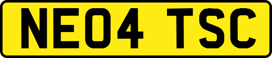 NE04TSC