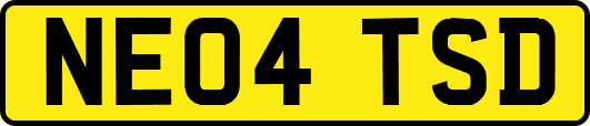 NE04TSD