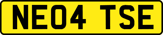 NE04TSE