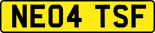NE04TSF