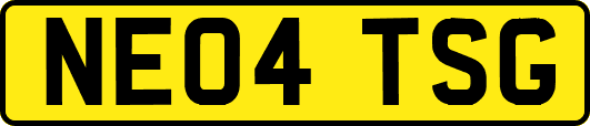 NE04TSG