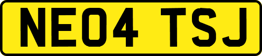 NE04TSJ