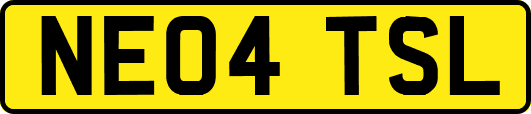 NE04TSL