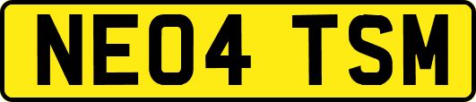 NE04TSM