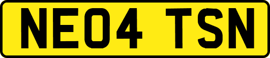 NE04TSN