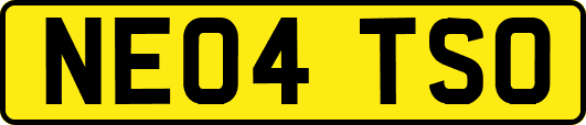 NE04TSO