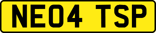NE04TSP