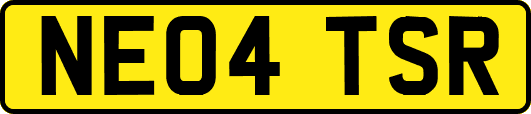 NE04TSR