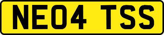 NE04TSS