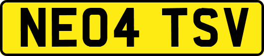 NE04TSV