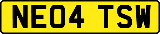 NE04TSW