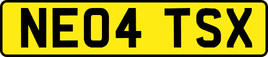 NE04TSX