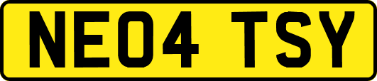 NE04TSY