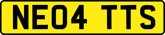 NE04TTS