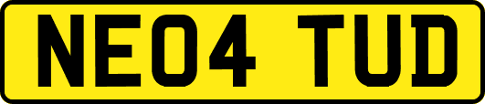 NE04TUD