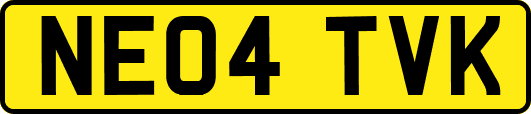NE04TVK