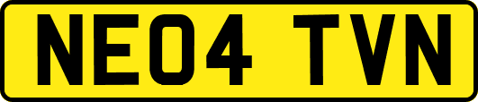 NE04TVN