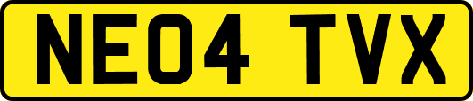 NE04TVX