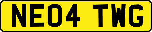 NE04TWG