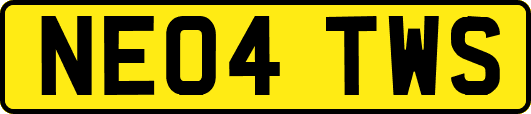NE04TWS