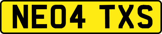 NE04TXS