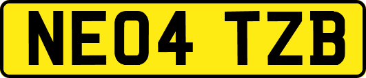 NE04TZB