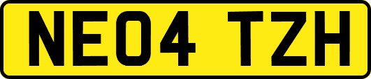 NE04TZH