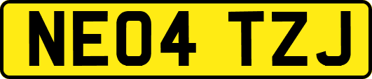 NE04TZJ