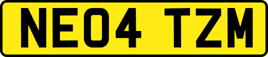 NE04TZM