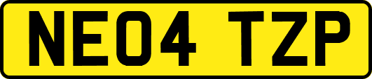 NE04TZP
