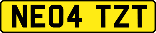 NE04TZT