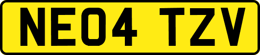 NE04TZV