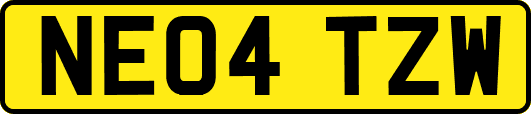 NE04TZW