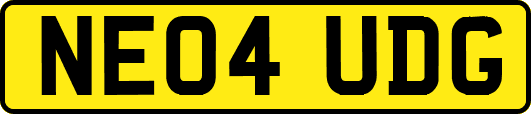 NE04UDG