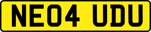 NE04UDU