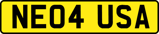 NE04USA